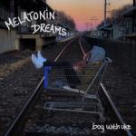 album image Blurry Nights Melatonin Dreams