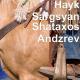Hayk Sargsyan - Shataxos Andzrev