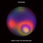 album image Dont Wait Up Don't Wait Up (Riton Mix) - Single