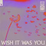album image Wish It Was You (Original Mix) Wish It Was You (feat. Cate Downey) - Single
