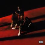 album image Flocky Flocky (feat. Travis Scott) Life of a DON