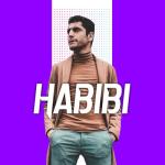 album image Habibi (Reverb & Slowed)