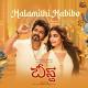 vijay & pooja hedge - Arabic Kuthu