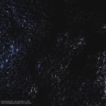 album image My Chemical Romance The Foundations of Decay - Single