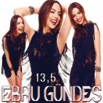 album image Seni İstiyorum 13,5