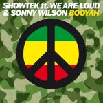album image 2013 MARTIN GARRIX + SHOWTEK + DVBBS + MORE Booyah (feat. We Are Loud! & Sonny Wilson) - Single