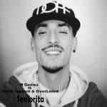 album image Seniorita Seniorita (feat. Edita Sopjani & OverLord) - Single