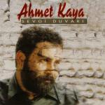 album image Dardayım Sevgi Duvarı