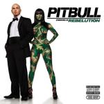 album image Friday Hotel Room Service (Flo Mashups Extended) Pitbull Starring In: Rebelution