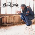 album image Turn It Up (Remix) - Fire It Up (Instrumental) The Best of Busta Rhymes