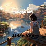 poster Oh Carol turkish lofi