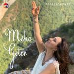 poster Hndzvor Yars Msho Geter