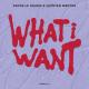 Fedde Le Grand, Quînten Mertns - What I Want